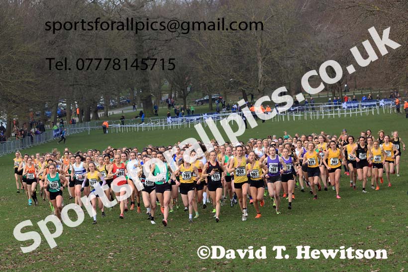 Senior Women, 2024 CAU Inter Counties Cross Country Champs., Wollaton Park, Nottingham. Photo: David T. Hewitson/Sports for All Pics